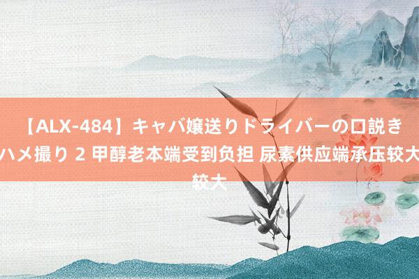 【ALX-484】キャバ嬢送りドライバーの口説きハメ撮り 2 甲醇老本端受到负担 尿素供应端承压较大